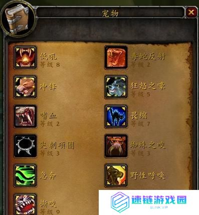 纷乱深渊宠物技能选择攻略（打造强力阵容，征服纷乱深渊）