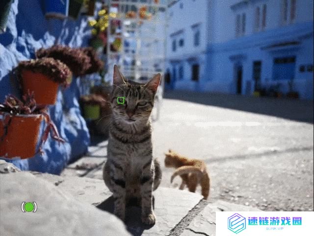 一亿像素 + 中画幅 富士 GFX100RF 固定镜头相机深度拍摄体验
