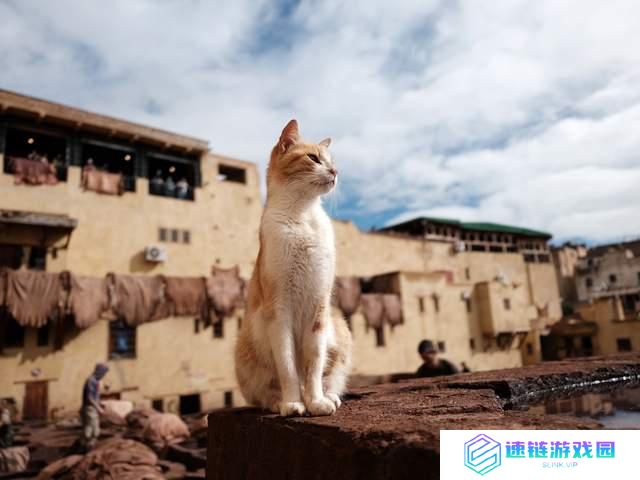 一亿像素 + 中画幅 富士 GFX100RF 固定镜头相机深度拍摄体验
