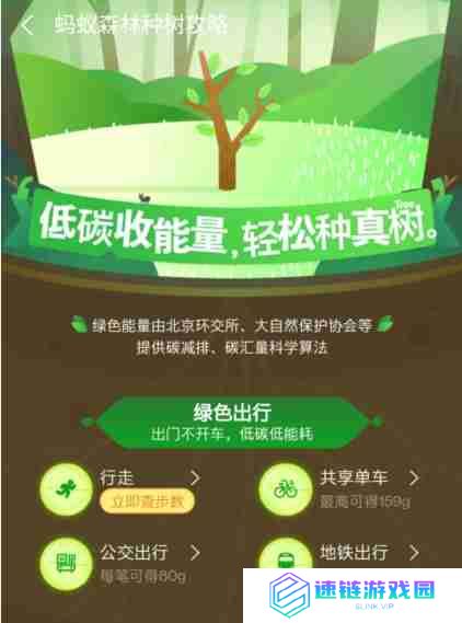 蚂蚁森林该如何获取能量