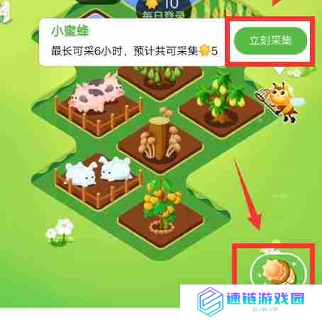 芭芭农场怎么采集阳光