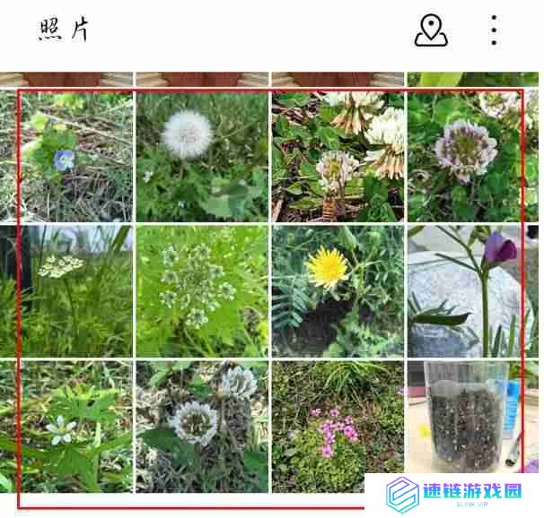 荣耀手机怎么将照片转换成pdf格式_华为手机照片转换成pdf步骤分享
