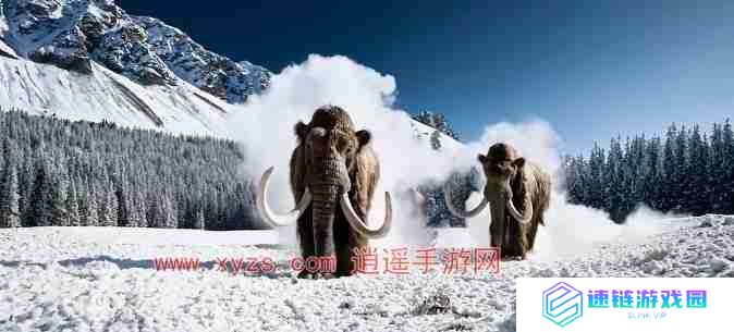 sora怎么使用